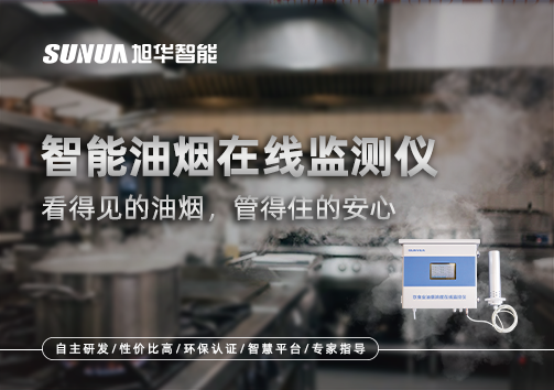 智能油烟在线监测仪：看得见的油烟，管得住的安心